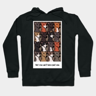 Greyhounds colors Hoodie